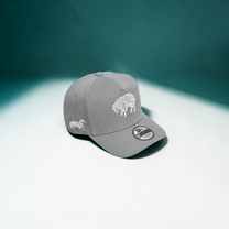 CLASSIC CAP - French Gray